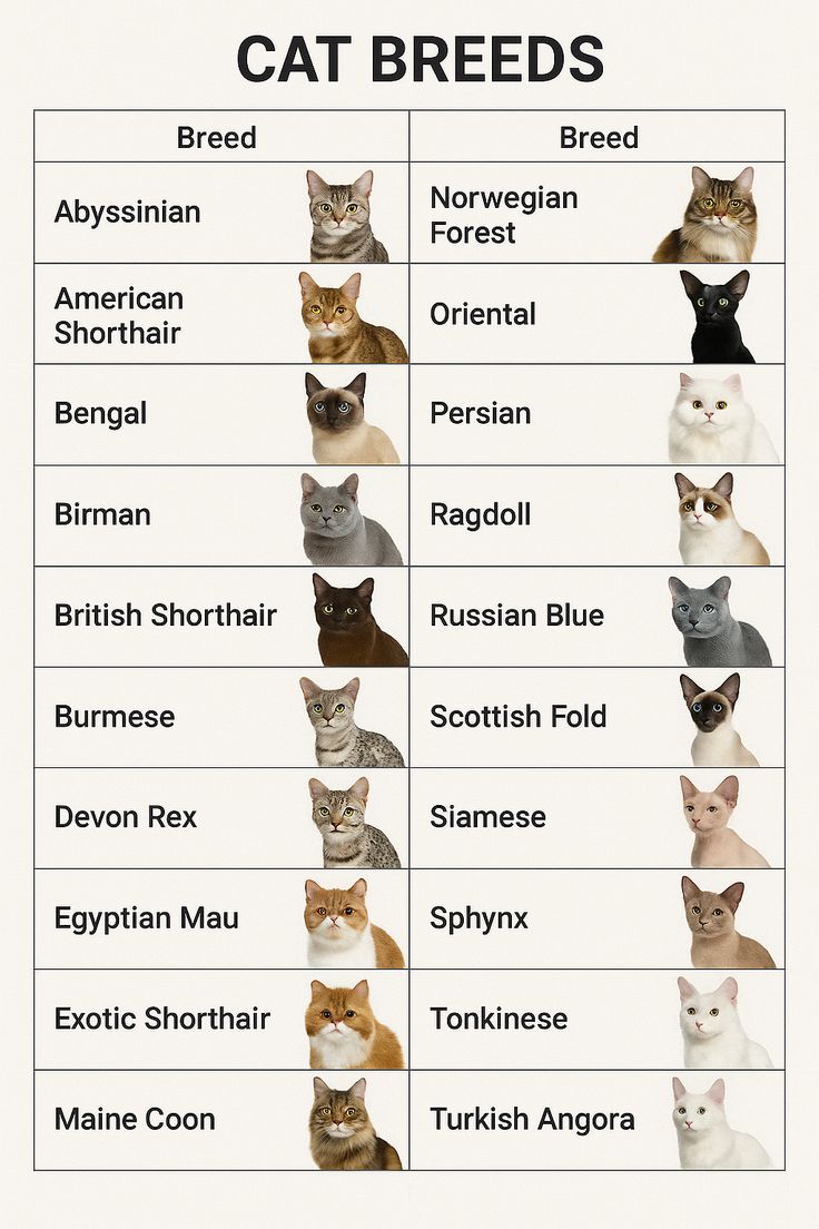 Meowbok915's tweet image. Trending Party✨

Let's support ##FELIX 
You Quiz On The Block 👍

🎯 100Replies

FELIX QUIZ ON THE BLOCK 
#FELIX_YouQuizOnTheBlock 
#유퀴즈_ON_THE_필릭스