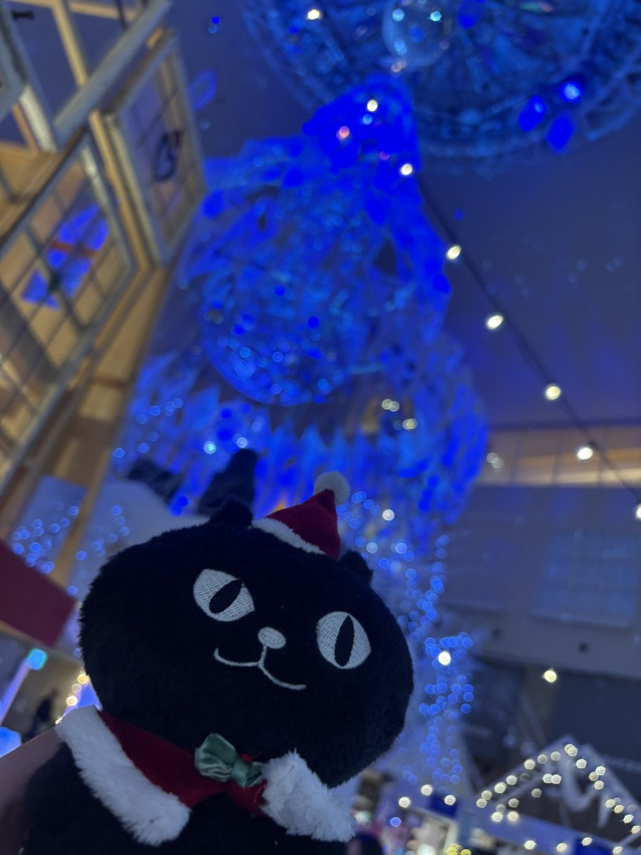 もちぴょん (@mochipyon) / Posts / X