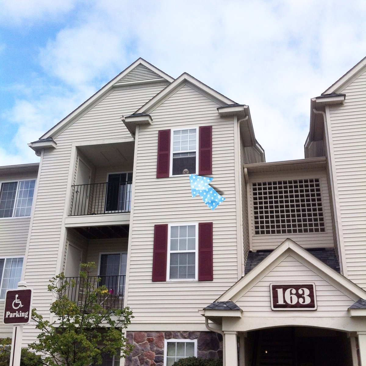 GoBlueNoopy's tweet image. Miss you so much.