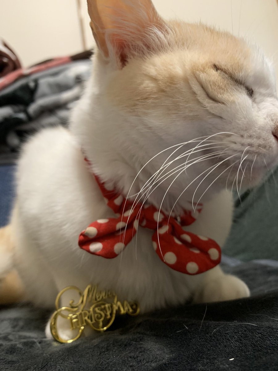 ONEPLUGDISordeR's tweet photo. happy Xmas https://t.co/zwcpFLlhqA