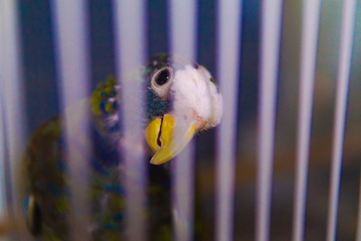 감옥재미없죠
같이 탈옥할래요?