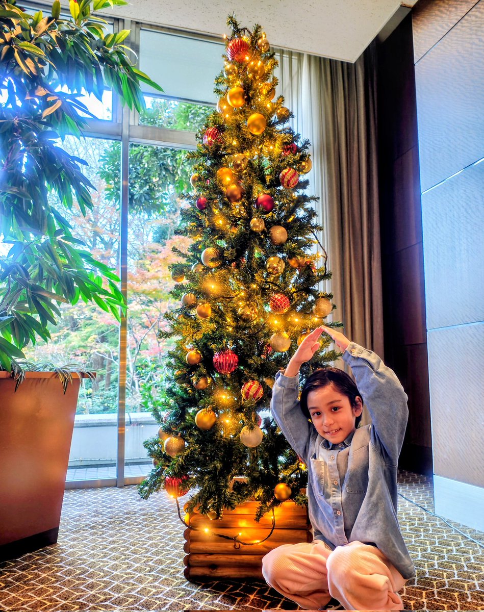 まるさん クリスマス ノルディカニッセ 電飾にからまるサンタ（赤） (ノルディカニッセ デン