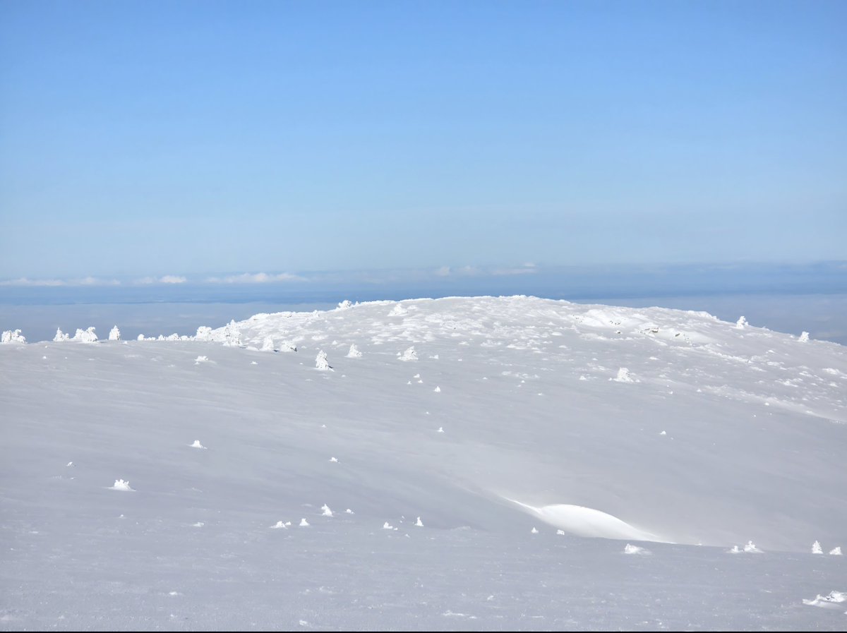 CanenciaEnFotos's tweet photo. Blanco día de Nochebuena en la Sierra de Guadarrama. Diciembre 2025. https://t.co/F0WSqXlIzg