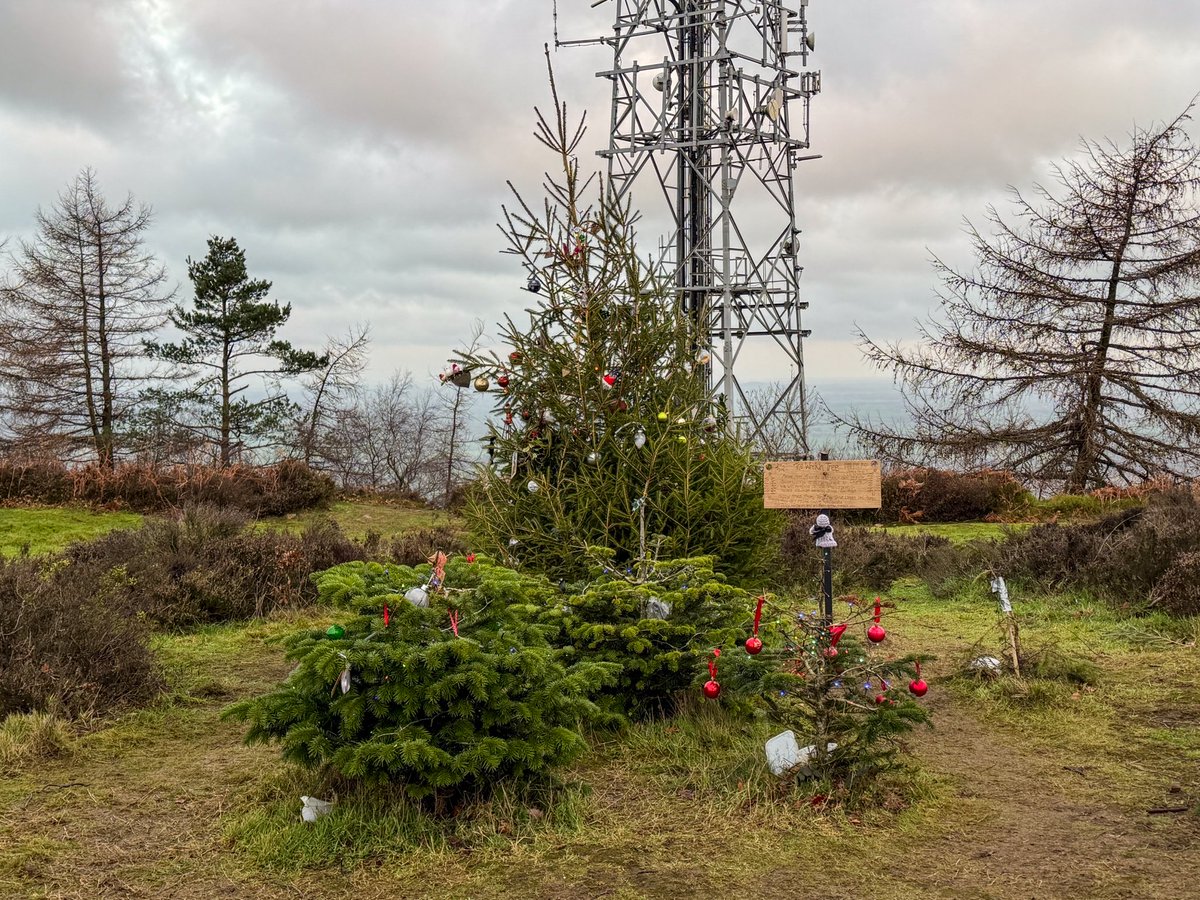 Claire Bratley tweet media