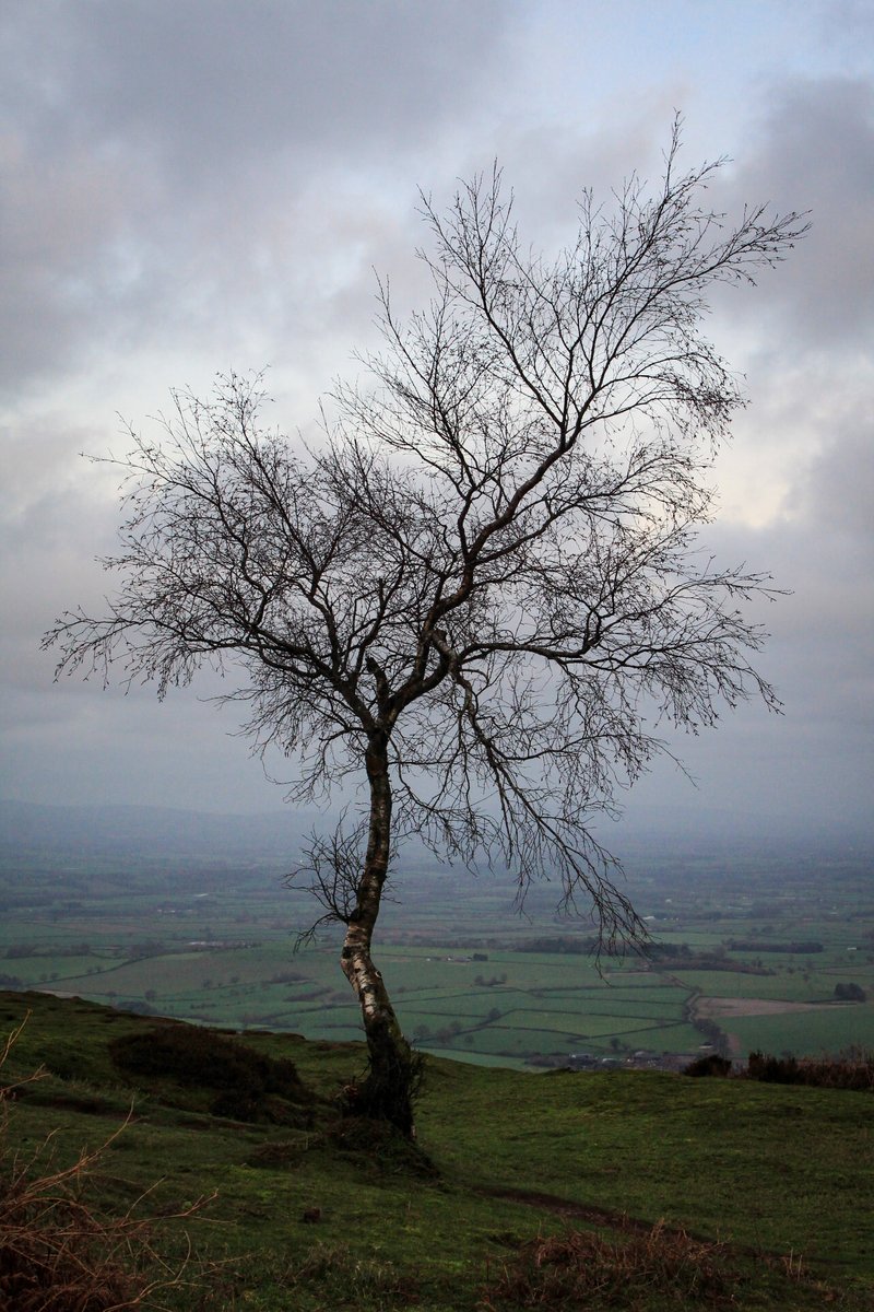 Claire Bratley tweet media