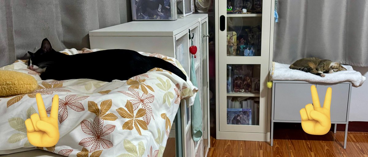 แข่งกันหลับ