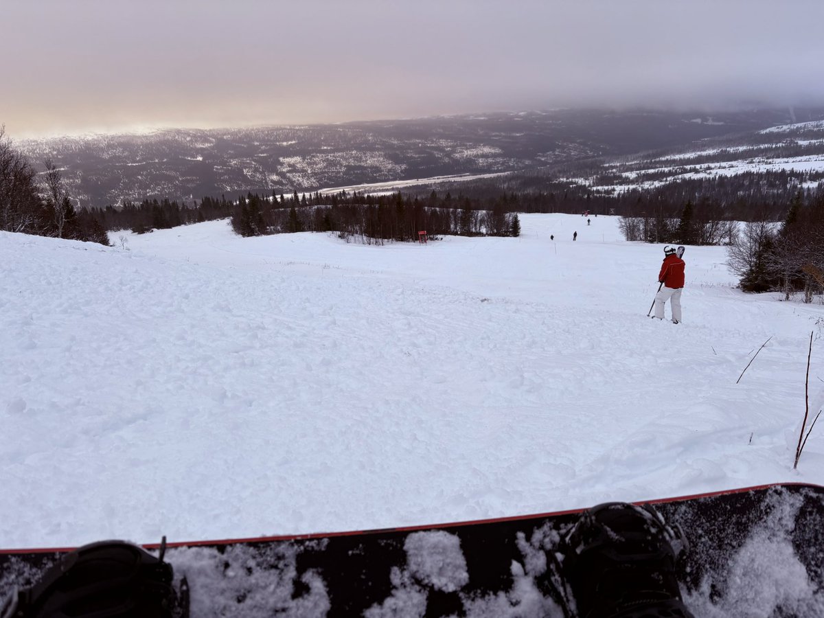 DoggoShayed's tweet image. I’m back in therapy 🏂🍧