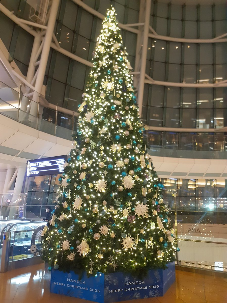 高橋くるみ (@TakahashiKurumi) / Posts / X