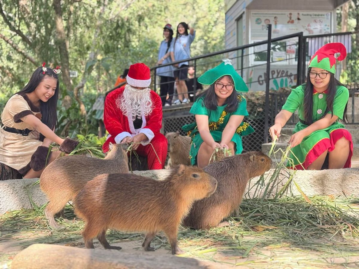 Fan Page | Ging Gong Kaew (กิง ก่อง แก้ว) tweet media