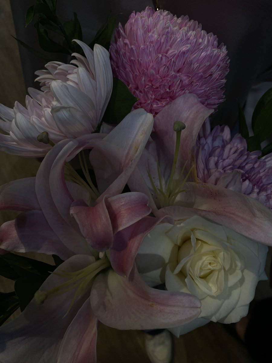 Kindercakes's tweet image. pweetty..