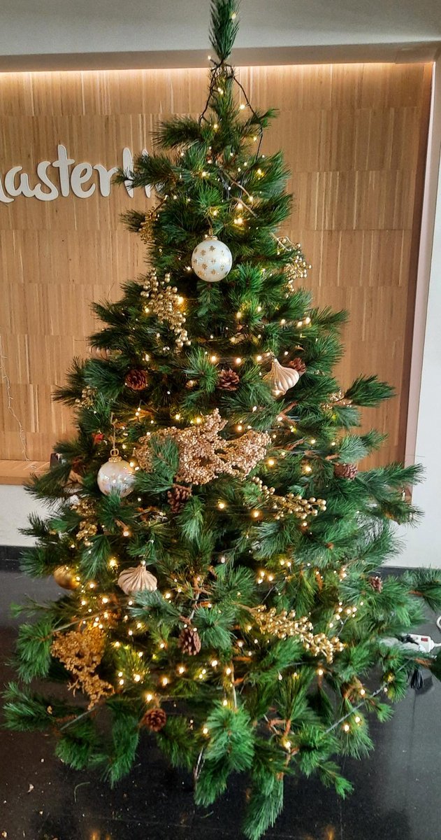 🎄✨ Desde MasterHome Residencia queremos desearos una Feliz Nochebuena y una muy Feliz Navidad.
Que estas fechas estén llenas de paz, alegría y momentos compartidos.
¡Que os sintáis siempre como en casa! 💛🎁