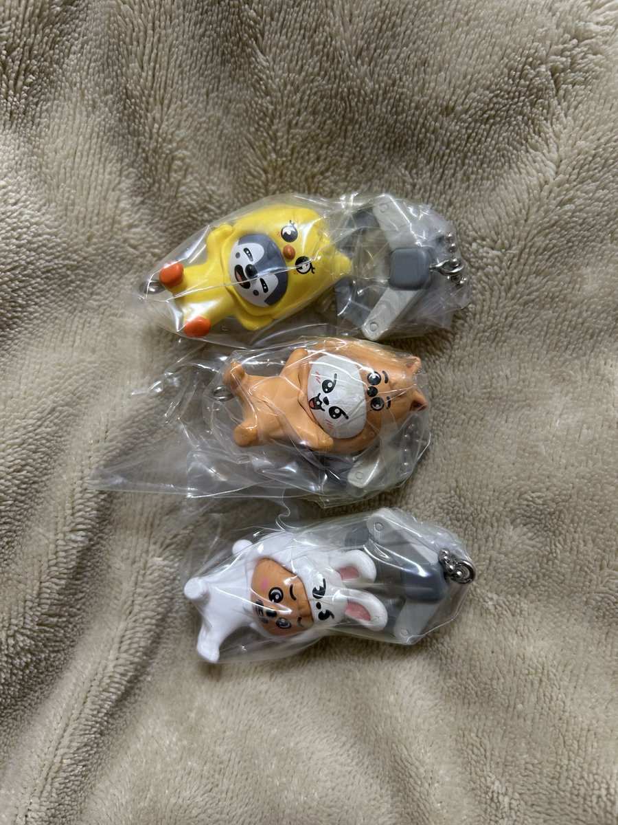 ありす 앨리스 (@cheeeen_721) / Posts / X