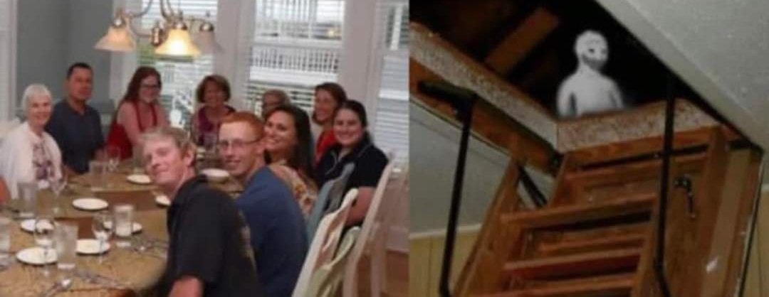 Not_NFD's tweet image. POV: Christmas at NFDs.

"There's our little NFT collector. Why don't you come down and tell the family about decentralisation, ownership and IP rights"