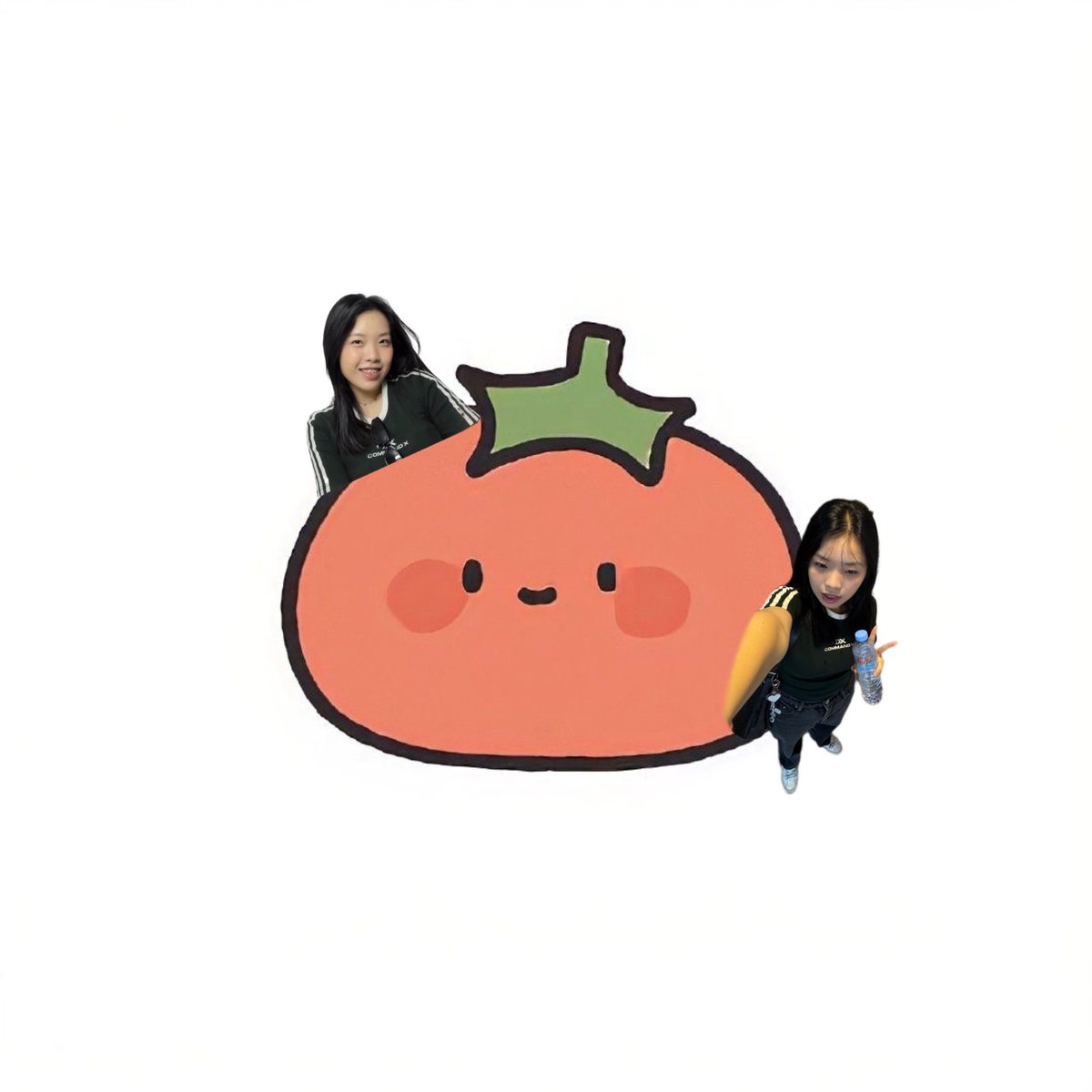 Milktomato 🍅🦙🌱 tweet media