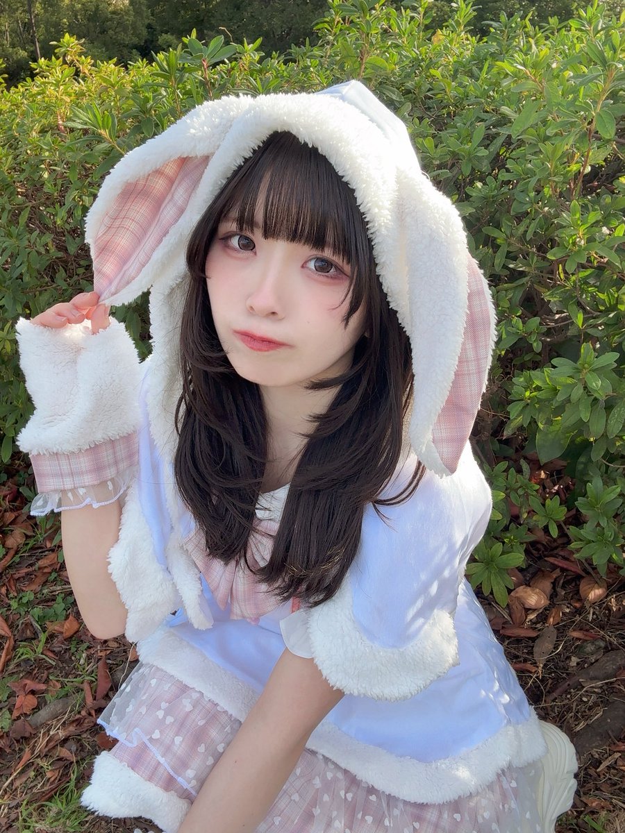 すぅねこ🐱🎀 (@su_nekosan) / Posts / X