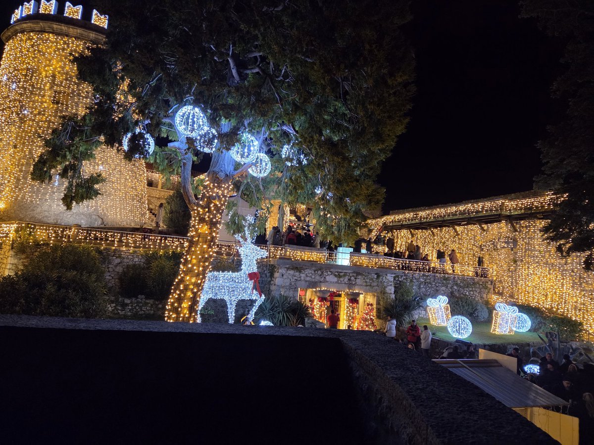 Sretan Božić i radosno vam Mlado ljeto.
Merry Christmas and Happy New Year
Fröhliche Weihnachten und ein gutes neues Jahr
Buon Natale e felice anno nuovo
Joyeux Noël et bonne année
Feliz Navidad y próspero año nuevo!
Feliz Natal e próspero ano novo