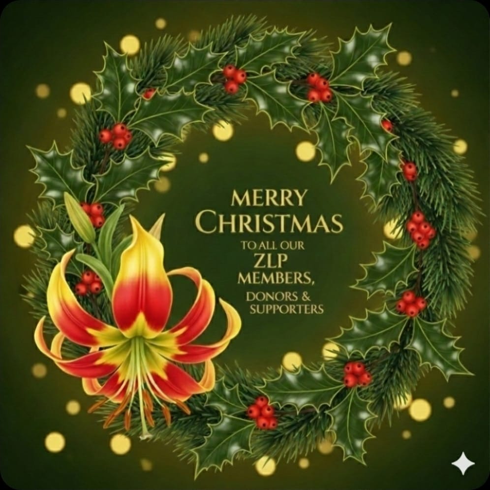 Zimbabwe Life Project tweet media