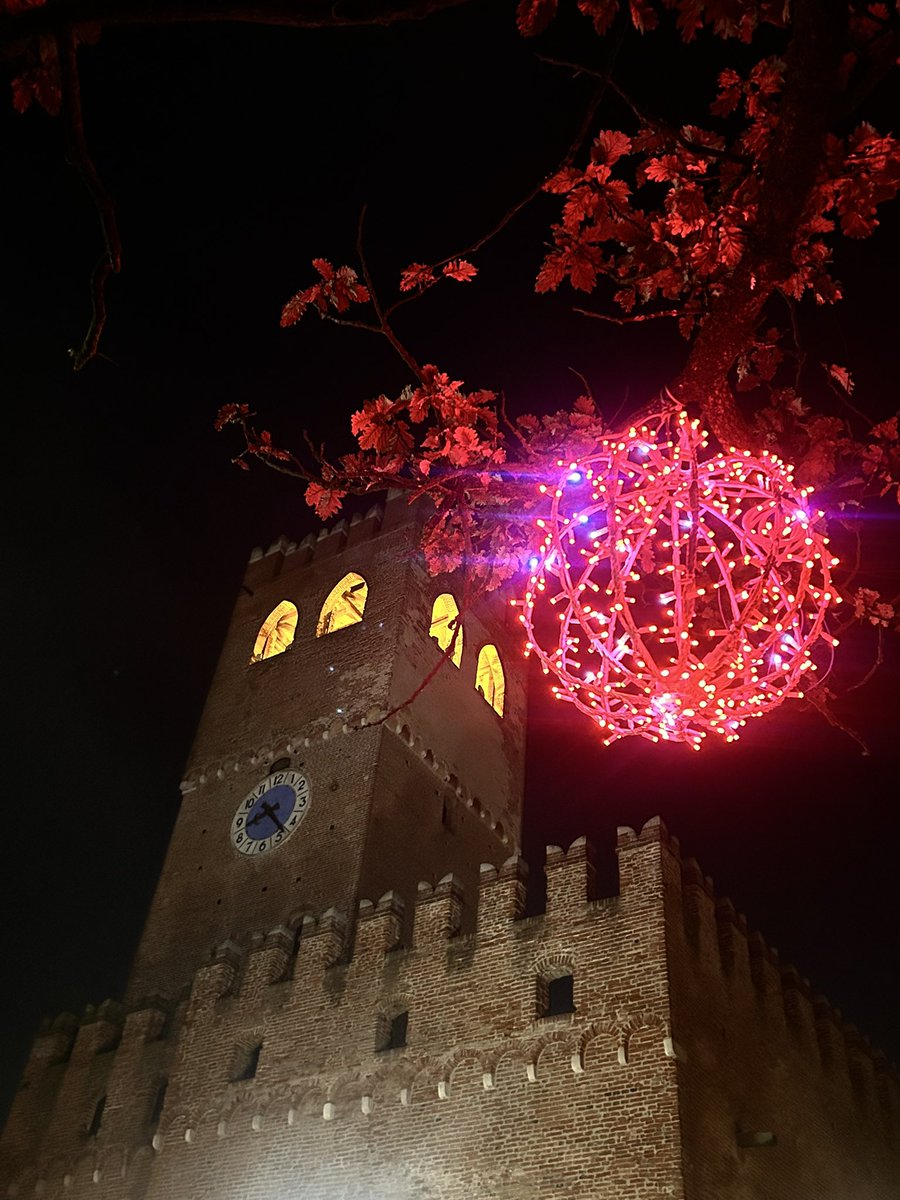 AlessandraDini's tweet photo. Che sia un periodo di feste sereno e luminoso, ricco di momenti di gioia, riflessione e nuove energie per l’anno a venire. Buone feste! 🎄✨
#BuoneFeste #Natale2025 #Serenità #Crescita #MagiaDelNatale #auguri https://t.co/pSZQwKUpzF