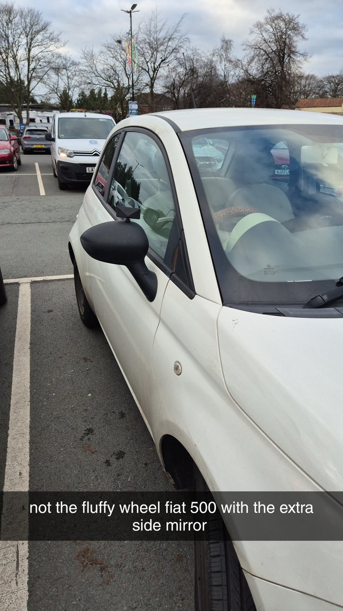 fiat 500 drivers are