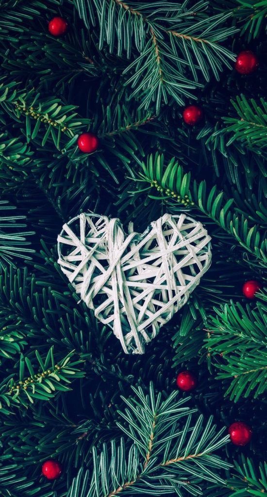 JmLesArbres's tweet photo. 🌿✨ Solstice passé : la nuit a touché le fond… et déjà la lumière remonte.
Les arbres le savent : l’hiver n’éteint pas, il protège. ✨🌿
#Jaimelesarbres #SolsticeDHiver #LumiereQuiRevient #SagesseDesArbres #CycleDuVivant https://t.co/YHy1nmN64s