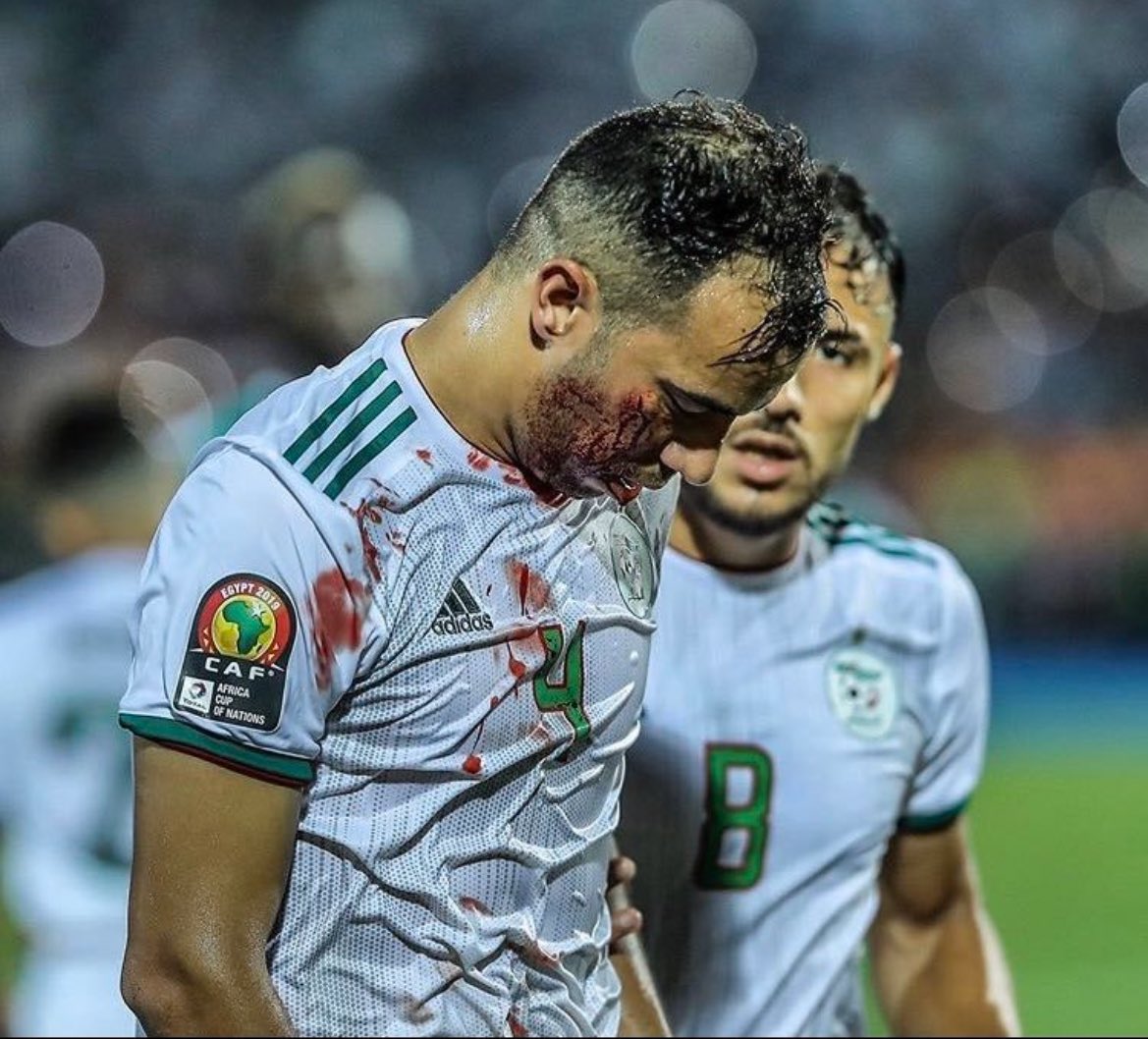 Algérie Football Média 🇩🇿 tweet media