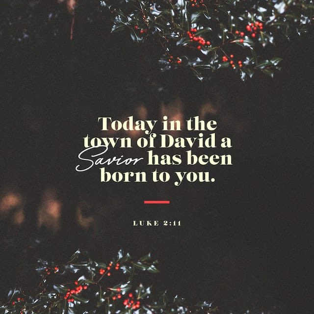 LittleMiss_2nd's tweet photo. 11 For unto you is born this day in the city of David a Savior, who is Christ the Lord. (Luke 2:11 ESV) https://t.co/qubeYRU2wx