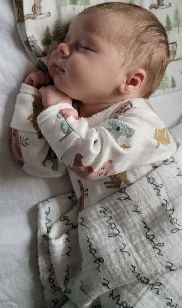 Cuddleecute's tweet image. 