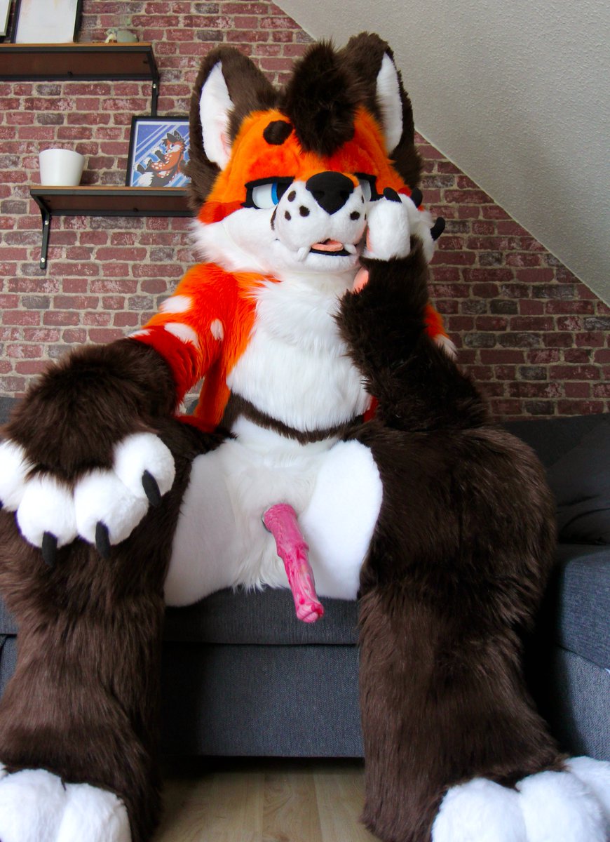 Murrlido tweet media