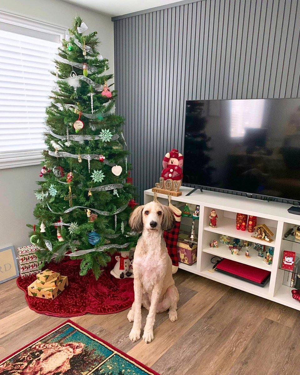 Elite_Trimworks's tweet image. Get into the Christmas spirit with our Wainscot Collection — easy-to-install Slatwall MDF Planks! Perfect for modern accent walls. #Slatwall #WainscotingDesign #WallPaneling #ModernInteriors #InteriorFinishings #FeatureWallIdeas #AccentWallDesign