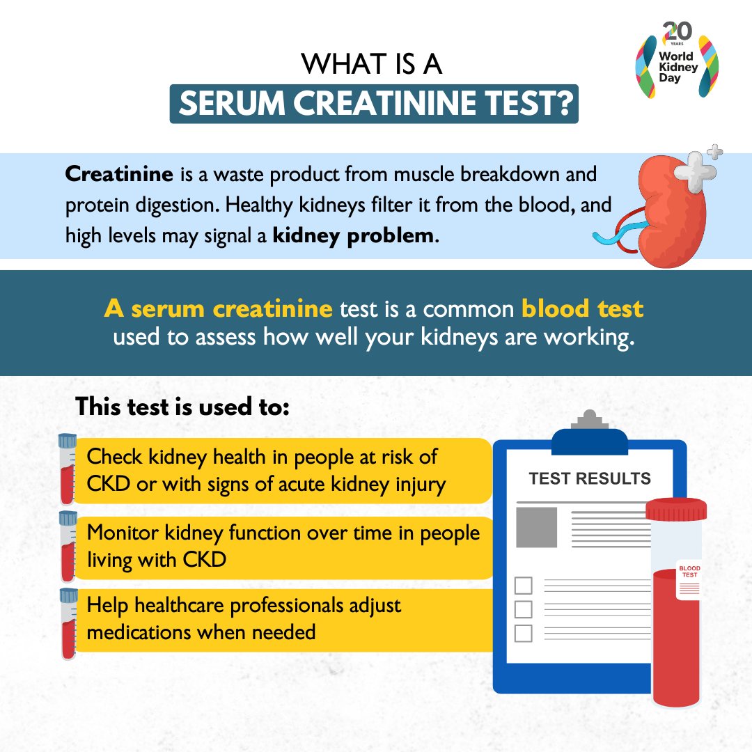 The serum creatinine test is a simple blood test that helps show how well your kidneys are filtering your blood. Understanding your results can be an important step in protecting your kidney health.
#WorldKidneyDay #OurKidneysOurPlanet #KidneyHealthForAll