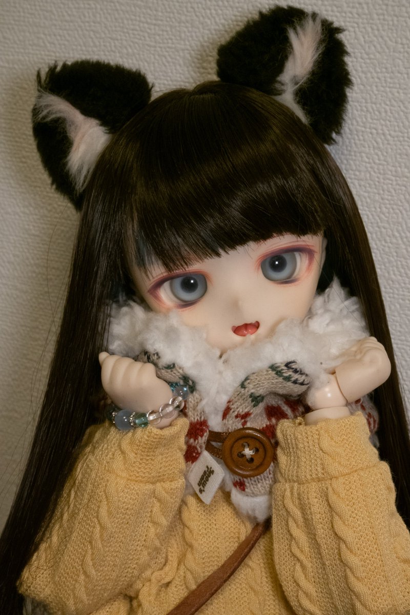 カエデ🍁 (@kaede_kaze) / Posts / X