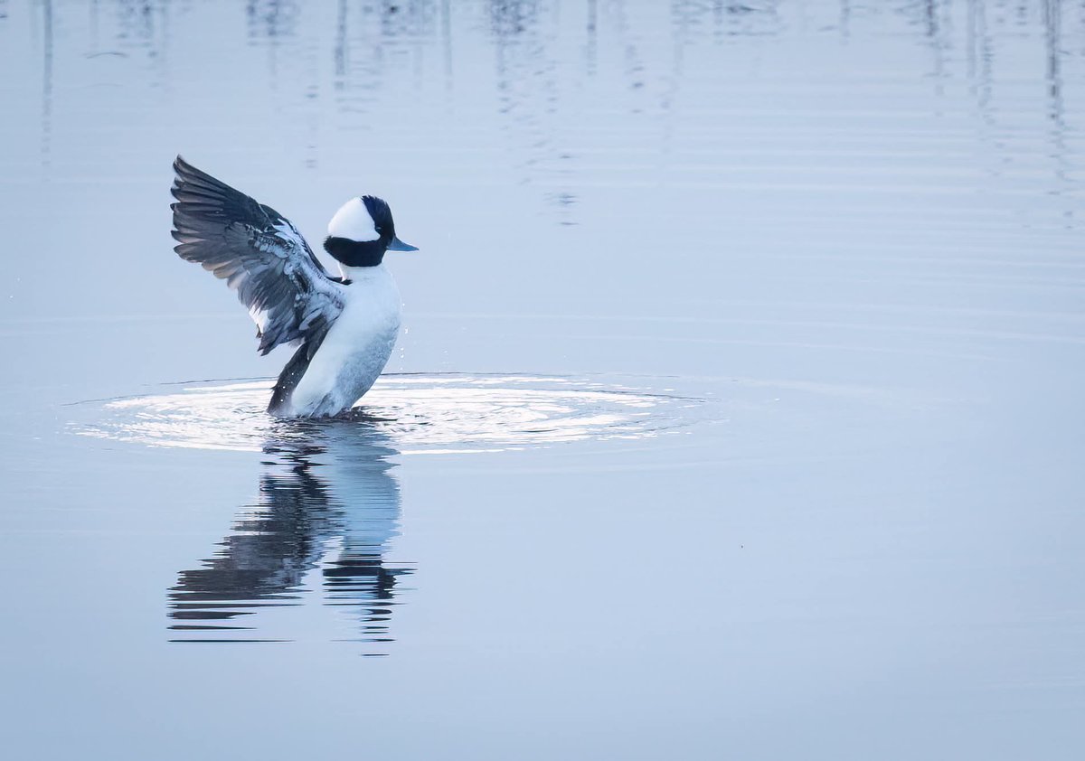 Jo Symon tweet media