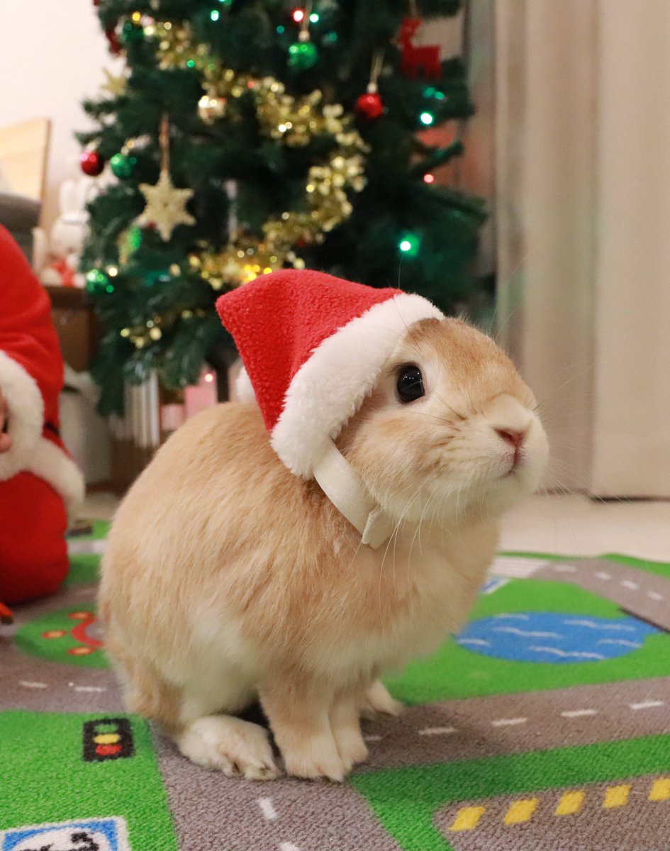 merry Christmas🎄🎅🏻