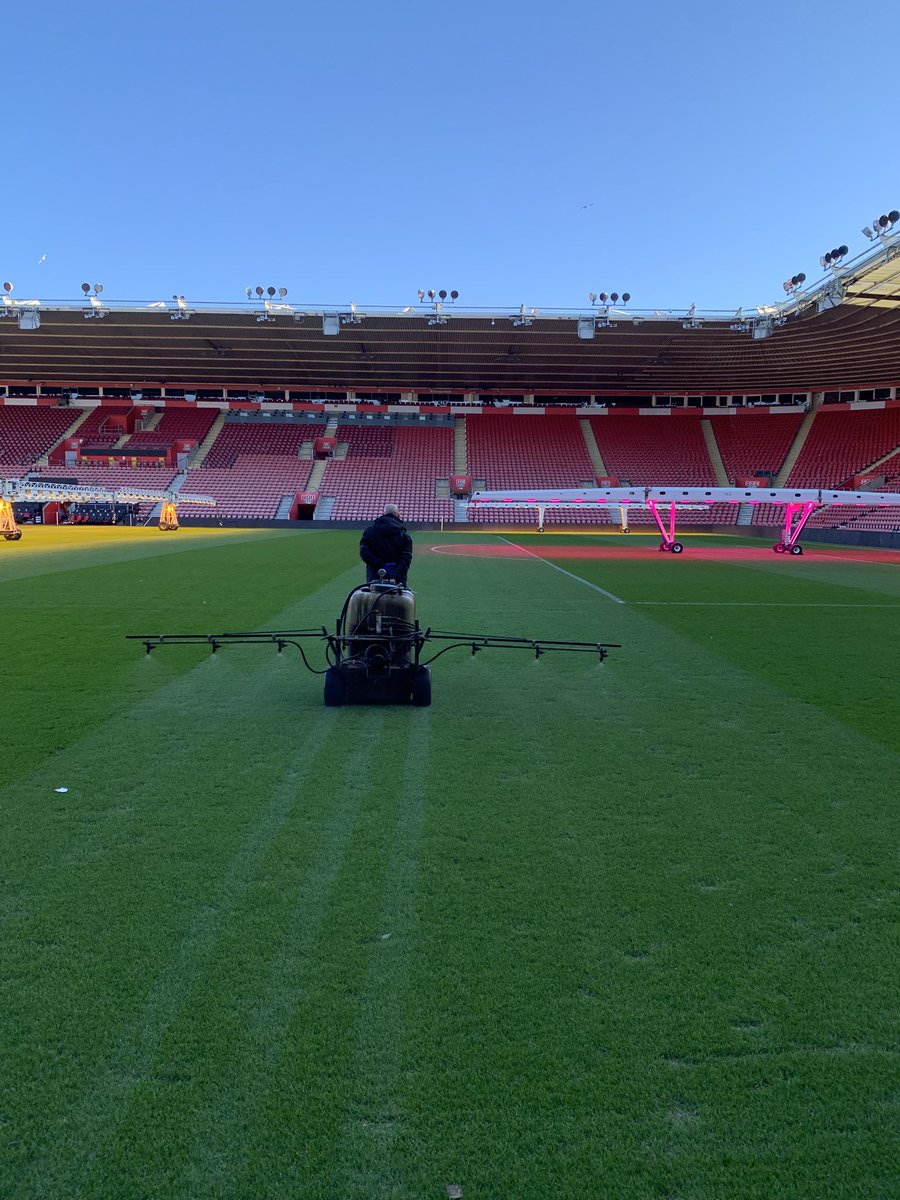 steve new tweet media