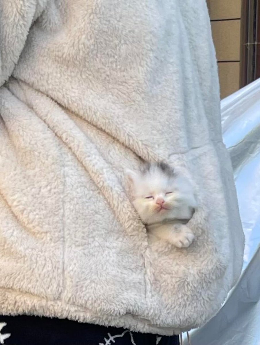 eepy