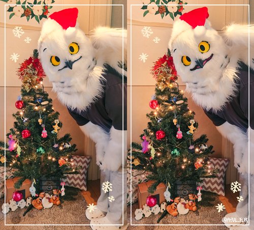✨️🎄🦉🎄✨️

#MerryChristmas