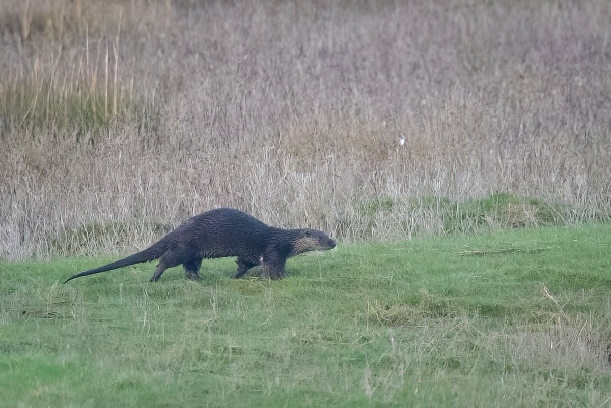 Jo Symon tweet media