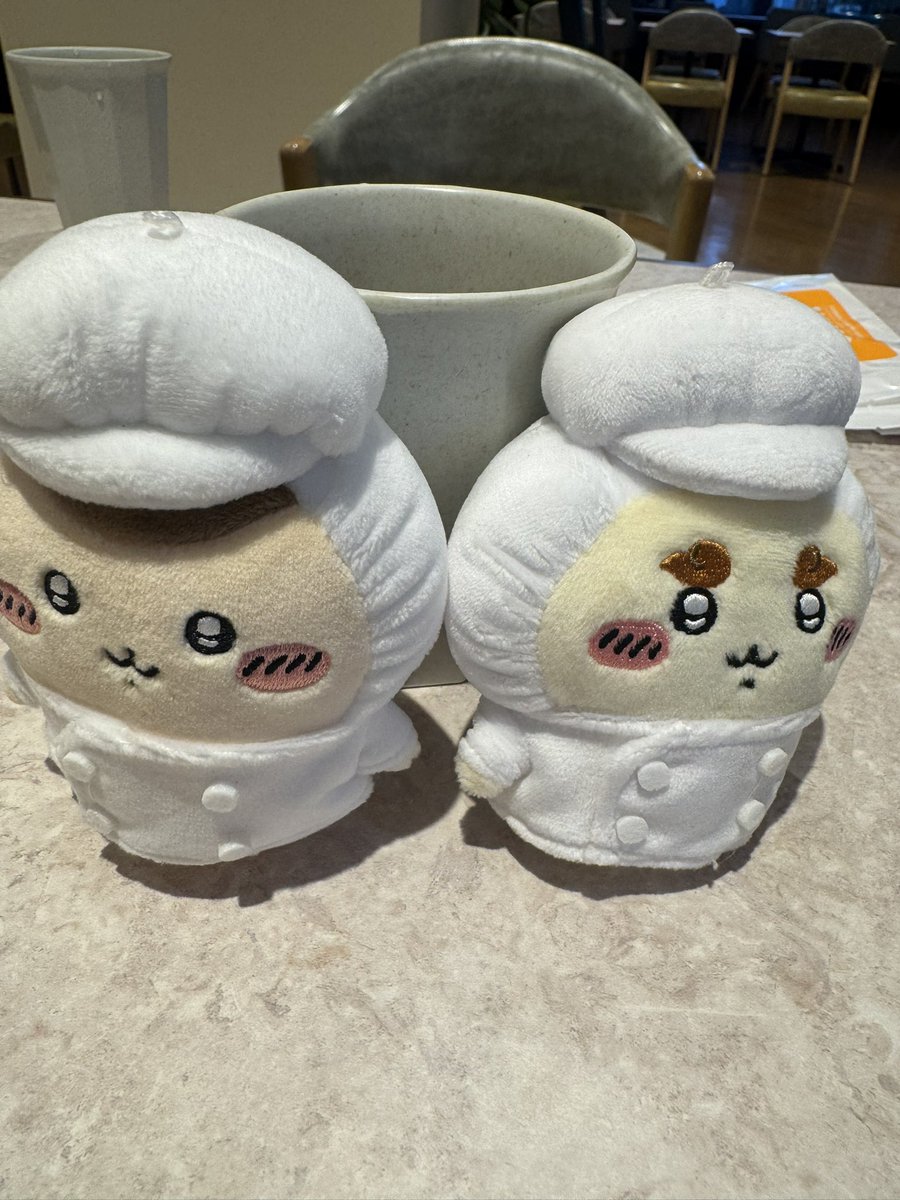 しぇいこん (@jyugonwife) / Posts / X