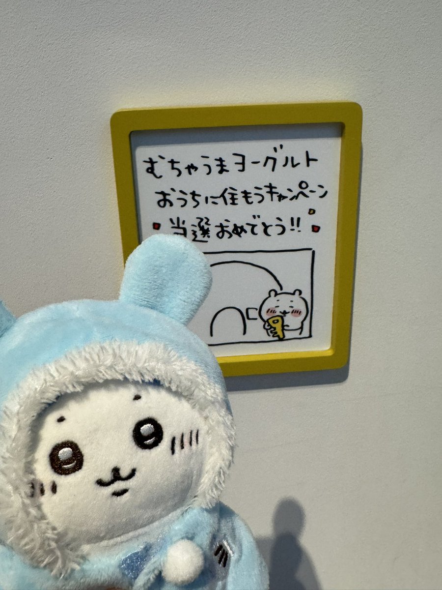 しぇいこん (@jyugonwife) / Posts / X