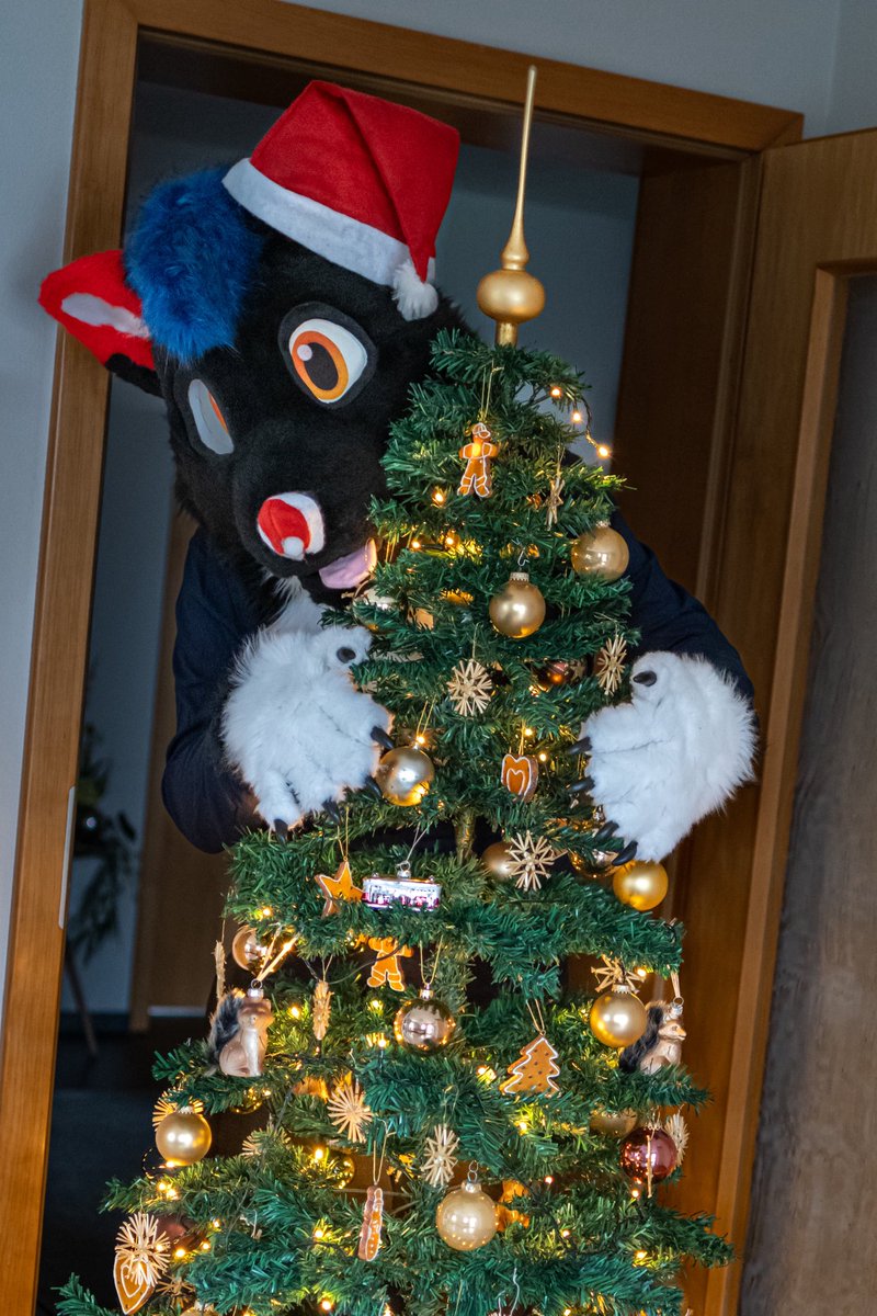 RyuxWolf's tweet photo. Merry Christmas to everyone! I hope you have a wonderful holiday with your loved ones! https://t.co/k2VI34ko83