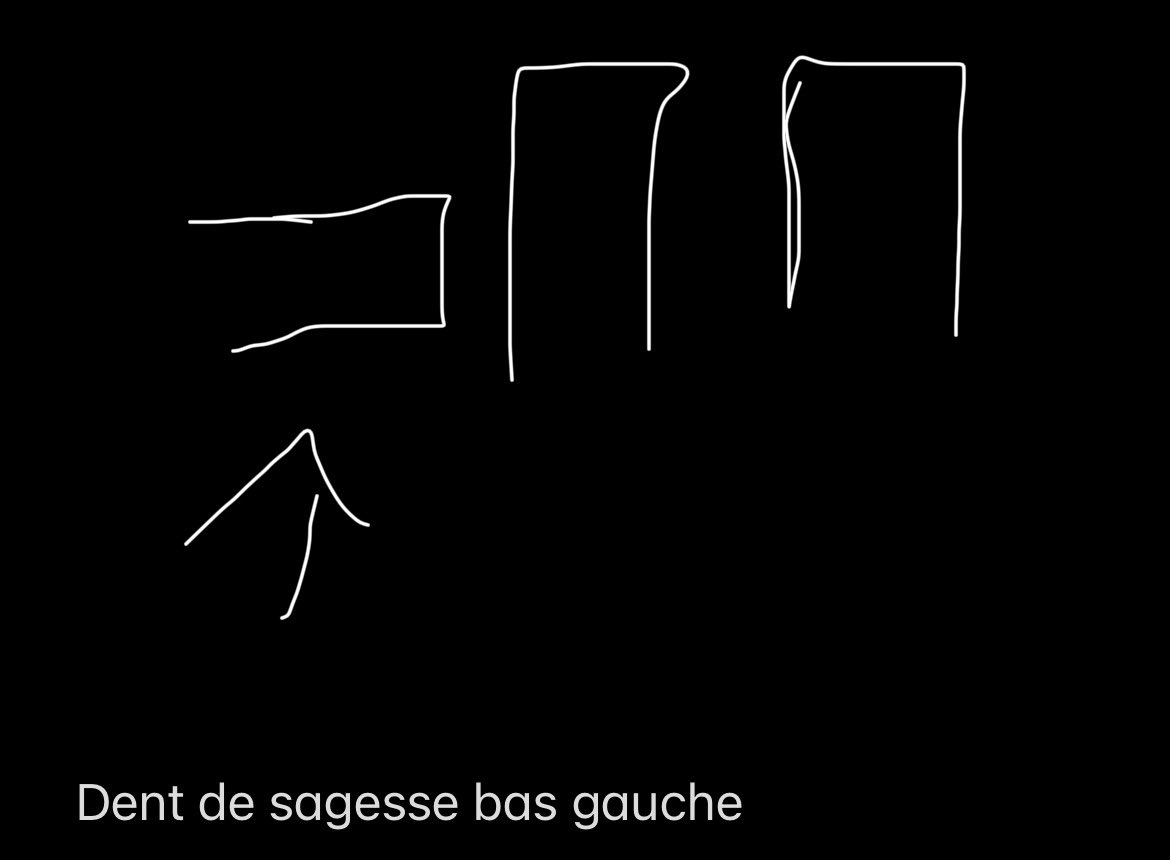 Octoverse tweet media