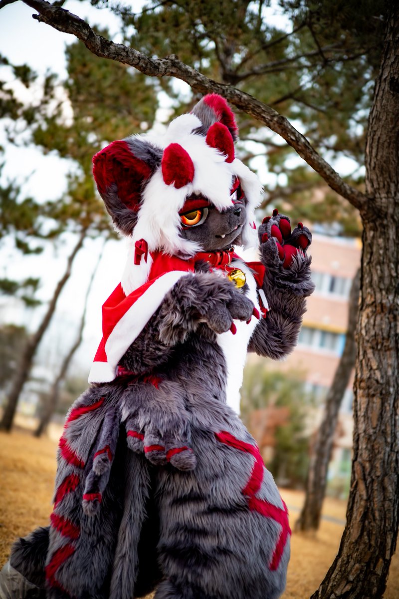 크리스마스 이브래~🎄✨️

#fursuit #FursuitEverday