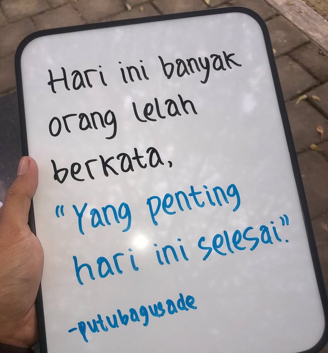 poconxg's tweet image. 