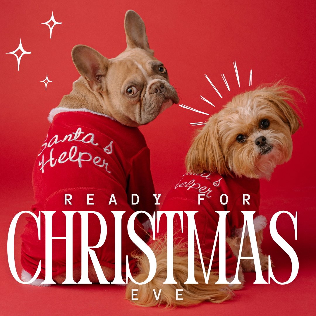 pleasanthill_ah's tweet image. Santa’s real helpers have fur, attitude, and matching outfits. 🎅🐾
Wishing you a cozy Christmas Eve filled with treats, cuddles, and maybe one too many snacks under the table. ❤️🎄  #ChristmasEve #HolidayPets #FestiveFun