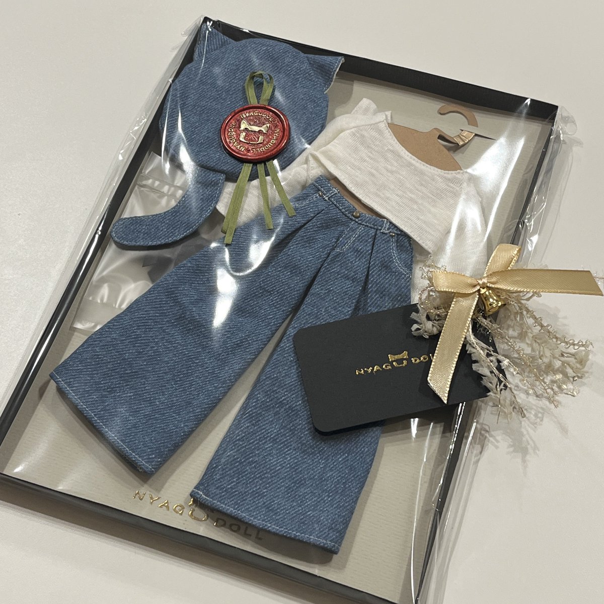 クリスマスプレゼントのように届いた衣装です🎁 かわいい~~😭🫶💕 #にゃぐわーるど