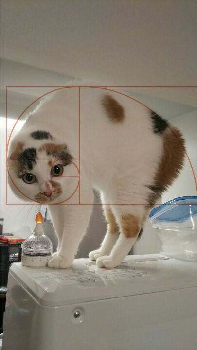 sijinomix0343's tweet image. #2025年自分が選ぶ今年の4枚