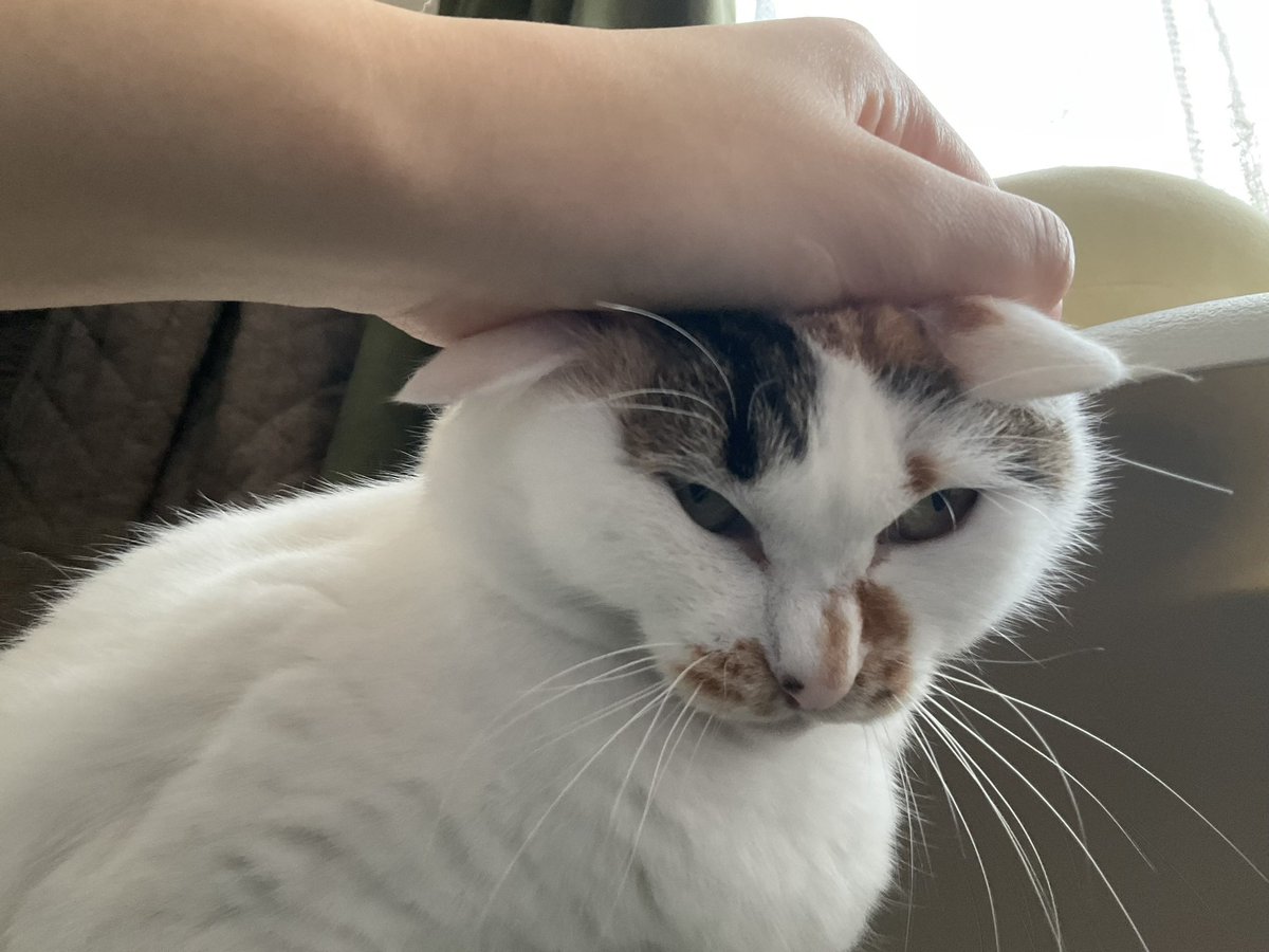 sijinomix0343's tweet image. #2025年自分が選ぶ今年の4枚