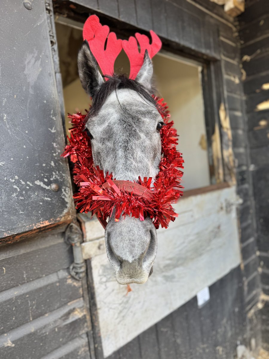 Ruby Red Racing tweet media