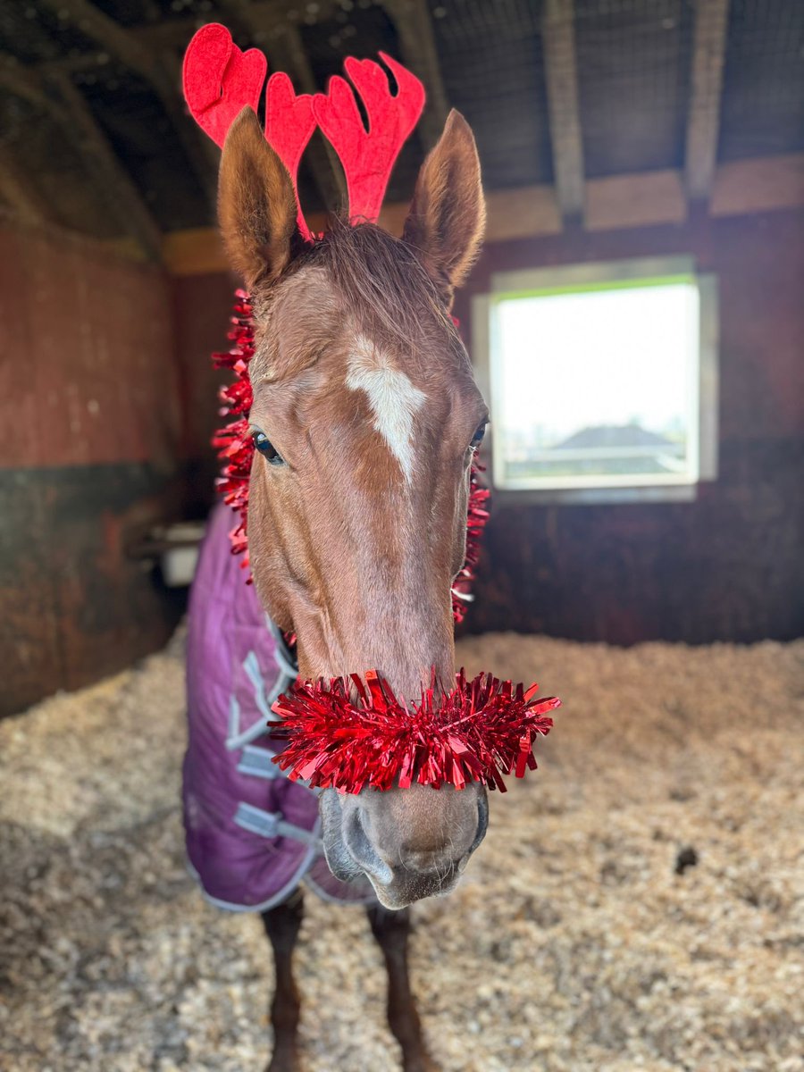 Ruby Red Racing tweet media