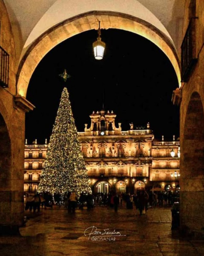 📸LA FOTOGRAFÍA| La fotografía de hoy, noche en la que comienza la Navidad, es de Rosa Sánchez. Imagen de la Plaza Mayor de Salamanca con su árbol de Navidad iluminados.

okeysalamanca.com/2025/12/24/429…